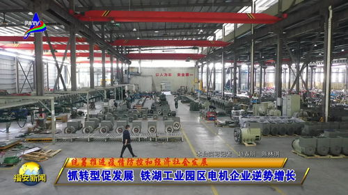 抓轉(zhuǎn)型促發(fā)展 鐵湖工業(yè)園區(qū)電機(jī)企業(yè)逆勢增長
