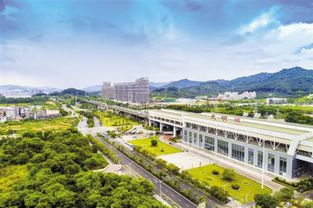998家國(guó)家級(jí)高新技術(shù)產(chǎn)業(yè),220個(gè)工業(yè)園區(qū),2019年,光明區(qū)又干了一件大事