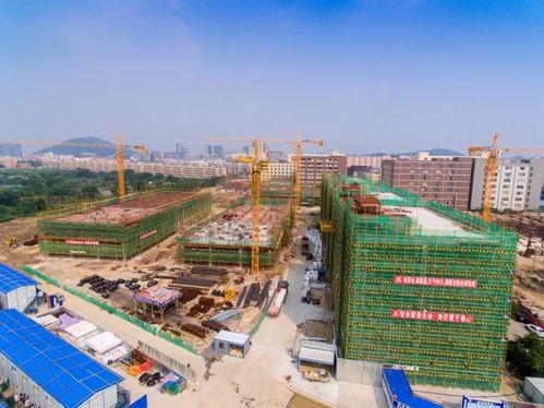 聚焦村改年底總攻丨順德村改實踐 全省矚目聚焦